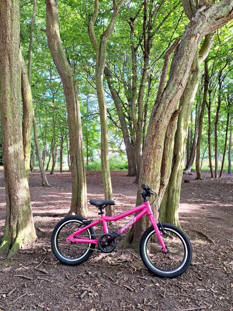 Reid Viper 16 inch Kids Bike in Pink-6